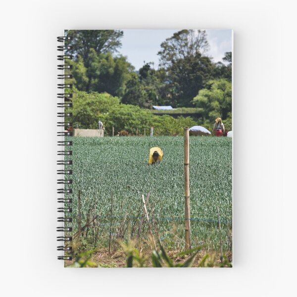 Item preview, Farmers sheltering under parasols in the field designed and sold by franck380.