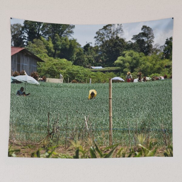 Item preview, Farmers sheltering under parasols in the field designed and sold by franck380.