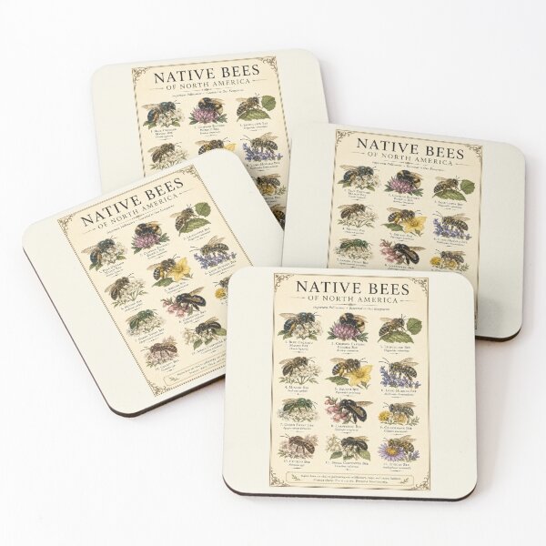 Item preview, Native Bees of North America Vintage Natural History Poster Pollinator Wall Art designed and sold by astersgraphics.