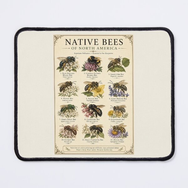 Item preview, Native Bees of North America Vintage Natural History Poster Pollinator Wall Art designed and sold by astersgraphics.