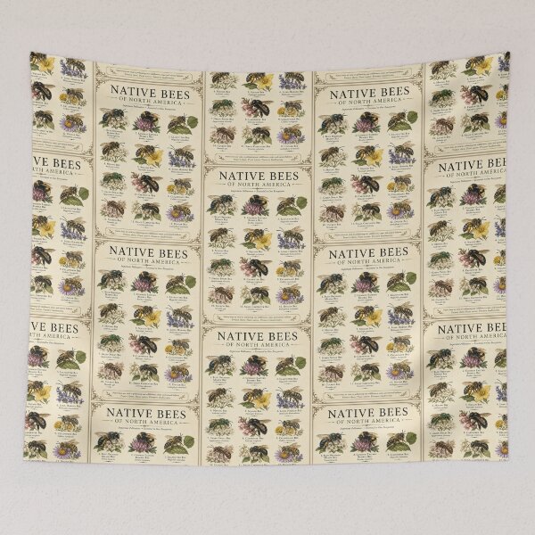 Item preview, Native Bees of North America Vintage Natural History Poster Pollinator Wall Art designed and sold by astersgraphics.