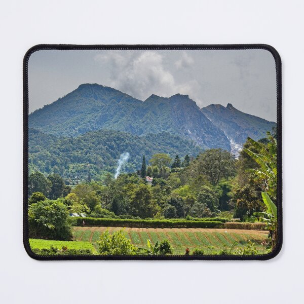 Item preview, Tropical banana tree in the heart of the mountain fields designed and sold by franck380.