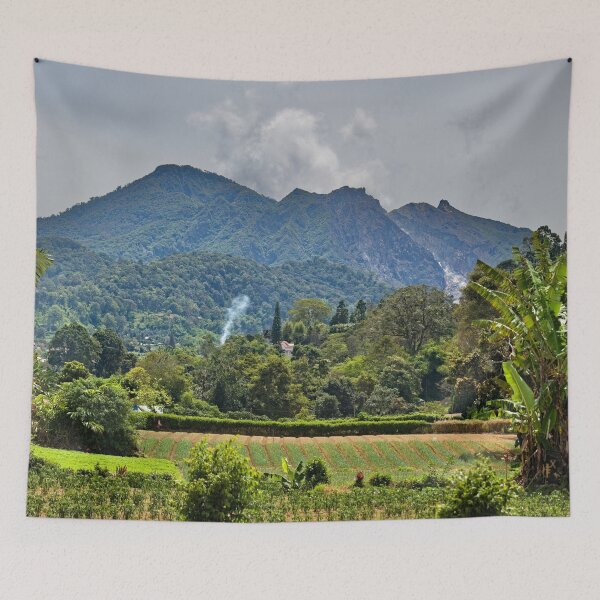 Item preview, Tropical banana tree in the heart of the mountain fields designed and sold by franck380.