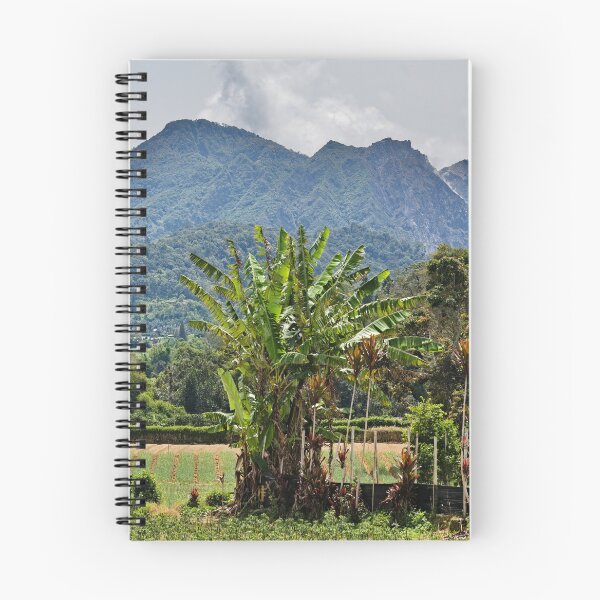Item preview, Fertile valley at the foot of Mount Sibayak designed and sold by franck380.