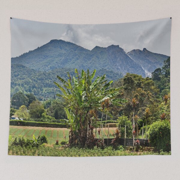 Item preview, Fertile valley at the foot of Mount Sibayak designed and sold by franck380.