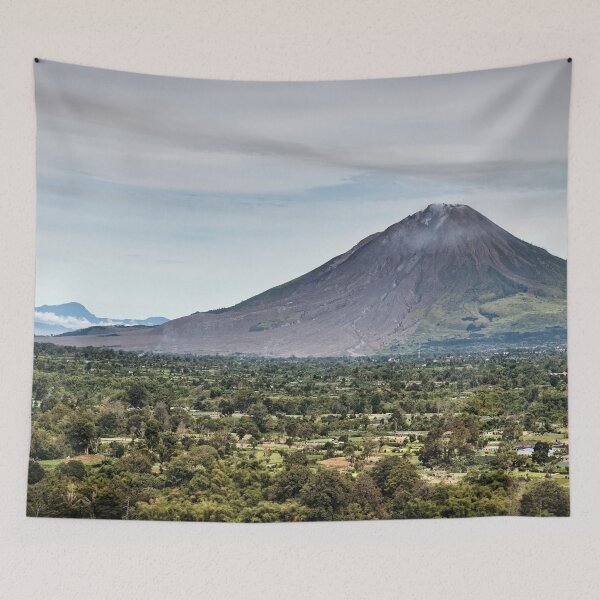 Item preview, Wild nature and agricultural land in Sumatra designed and sold by franck380.