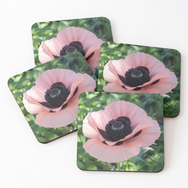 Item preview, Silky Pink Oriental Poppy in Bloom designed and sold by Georgia Mizuleva.
