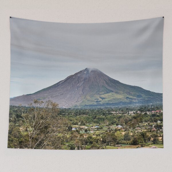 Item preview, A vast panorama of the valley and its volcano designed and sold by franck380.