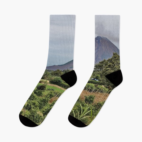 Item preview, Young orchard of fruit trees under the volcano designed and sold by franck380.