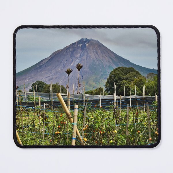 Item preview, Vegetable garden facing the active volcano designed and sold by franck380.