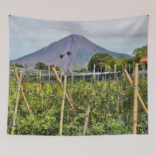 Item preview, Farm below smoking Mount Sinabung designed and sold by franck380.