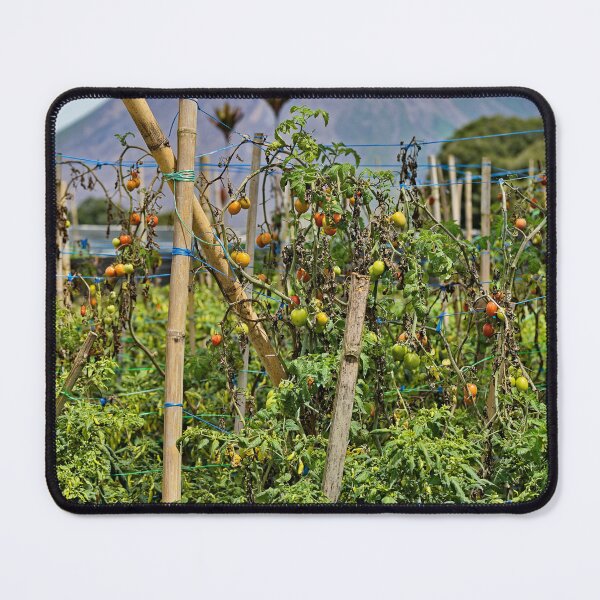 Item preview, Vegetable garden facing the active volcano designed and sold by franck380.