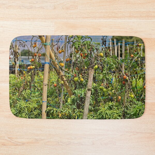 Item preview, Vegetable garden facing the active volcano designed and sold by franck380.