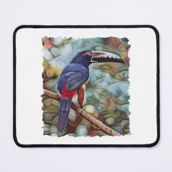 Item preview, Collared Aracari Toucan designed and sold by Kovacekau.