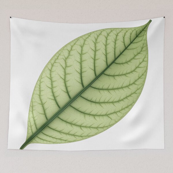 Item preview, Green Leaf Detailed Veins Botanical Nature Art designed and sold by Luna-Flow.