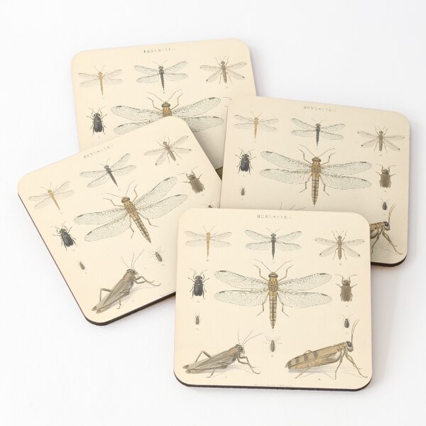 Item preview, Vintage Insect Illustration Dragonfly Grasshopper Natural History designed and sold by Luna-Flow.