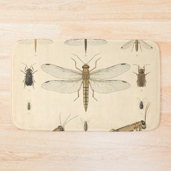 Item preview, Vintage Insect Illustration Dragonfly Grasshopper Natural History designed and sold by Luna-Flow.