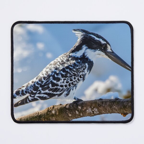 Item preview, Pied Kingfisher designed and sold by Pravine Chester.