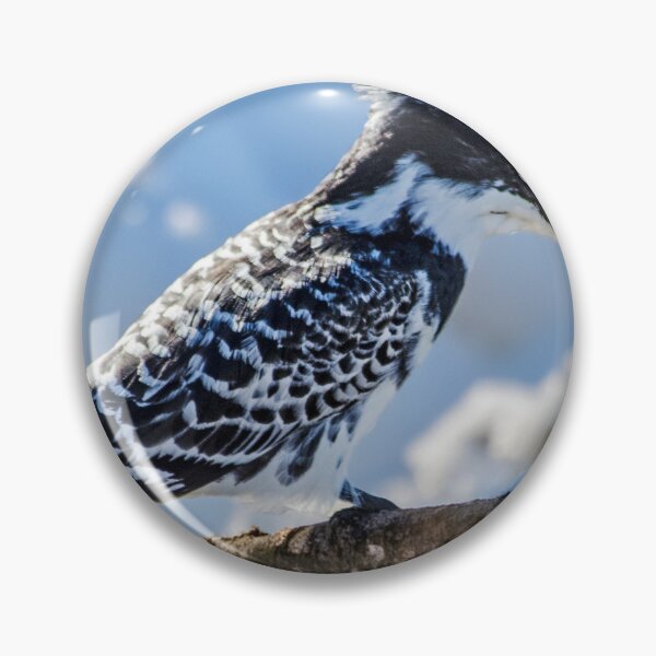 Item preview, Pied Kingfisher designed and sold by Pravine Chester.