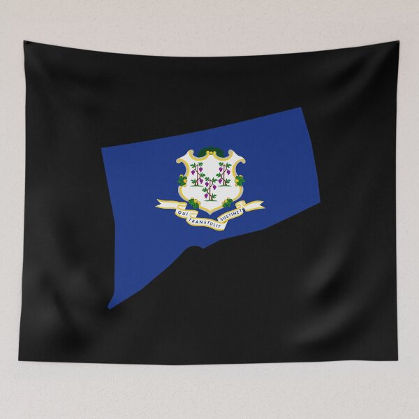 Item preview, Connecticut State Shape Flag CT designed and sold by shitpostee.
