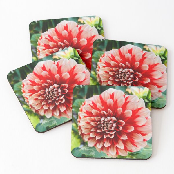 Item preview, ? Beautiful Flower Photography | Nature Floral Art designed and sold by DivyasnatureArt.