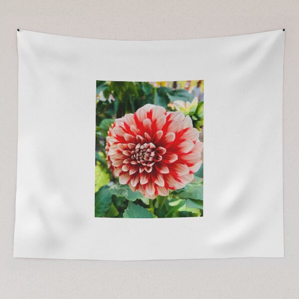 Item preview, ? Beautiful Flower Photography | Nature Floral Art designed and sold by DivyasnatureArt.