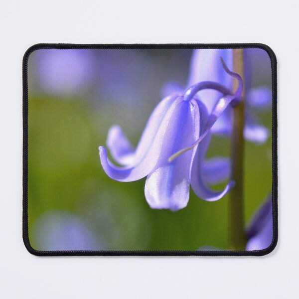 Item preview, Picture of an English bluebell designed and sold by Elle Willers.
