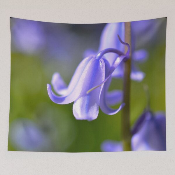 Item preview, Picture of an English bluebell designed and sold by Elle Willers.