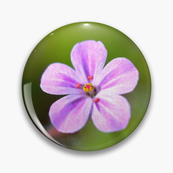 Item preview, Picture of a Robert's geranium designed and sold by Elle Willers.