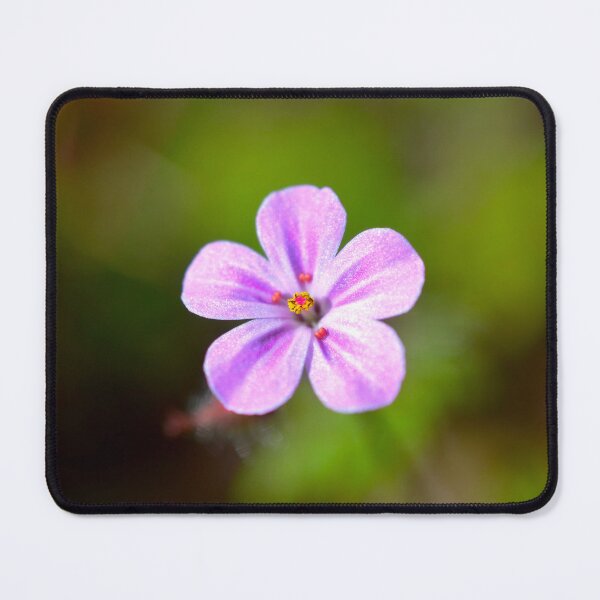 Item preview, Picture of a Robert's geranium designed and sold by Elle Willers.