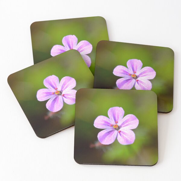 Item preview, Picture of a Robert's geranium designed and sold by Elle Willers.