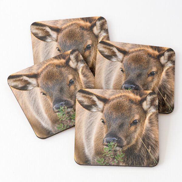 Item preview, Young Elk Portrait designed and sold by Kimberly Palmer.