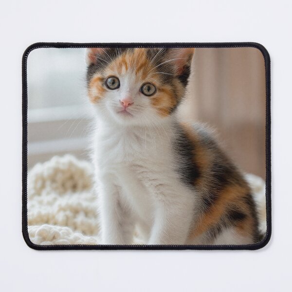 Item preview, Adorable Kitten on Soft Sofa designed and sold by iadescontrolada.