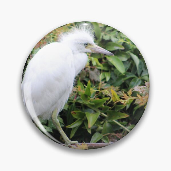 Item preview, Juvenile Egret in Lush Foliage designed and sold by Cynthia48.