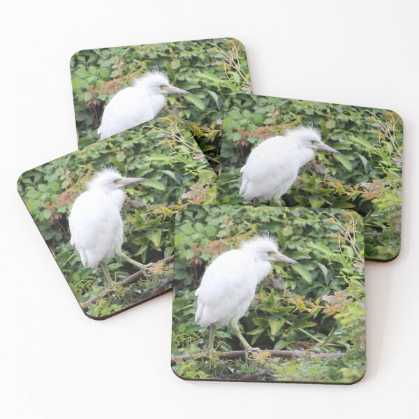 Item preview, Juvenile Egret in Lush Foliage designed and sold by Cynthia48.