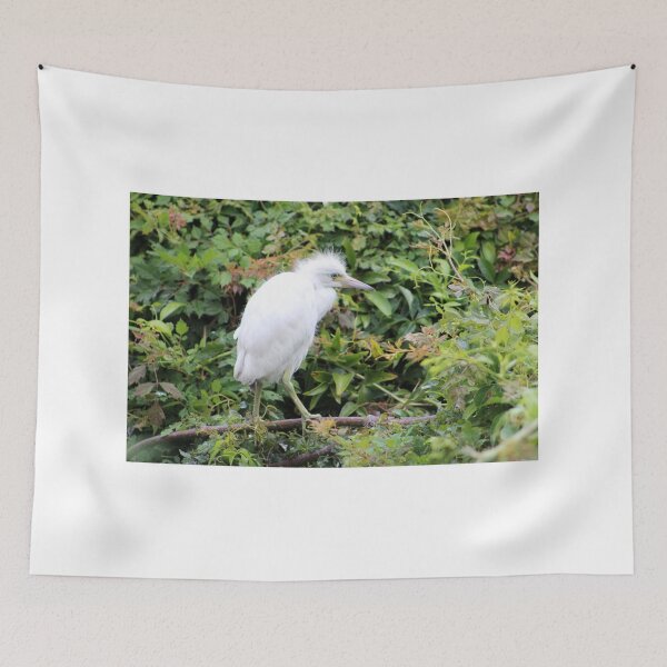 Item preview, Juvenile Egret in Lush Foliage designed and sold by Cynthia48.