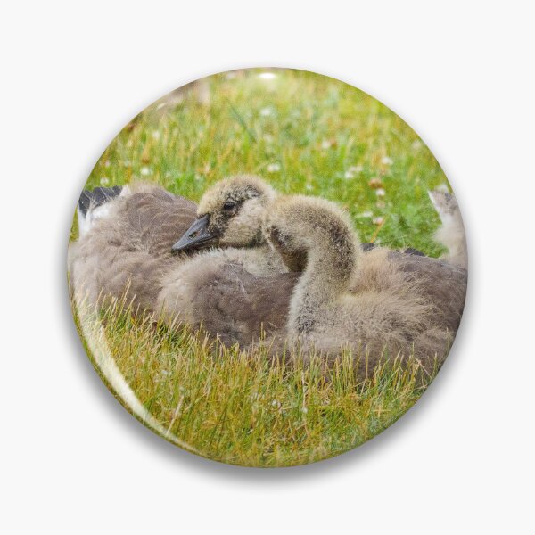Item preview, Goslings designed and sold by HectorCantres.