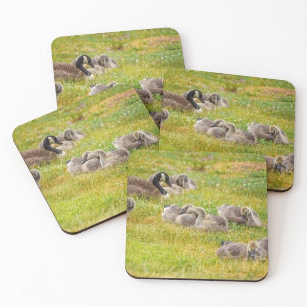 Item preview, Goslings designed and sold by HectorCantres.