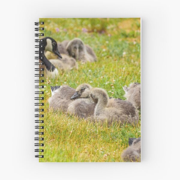Item preview, Goslings designed and sold by HectorCantres.