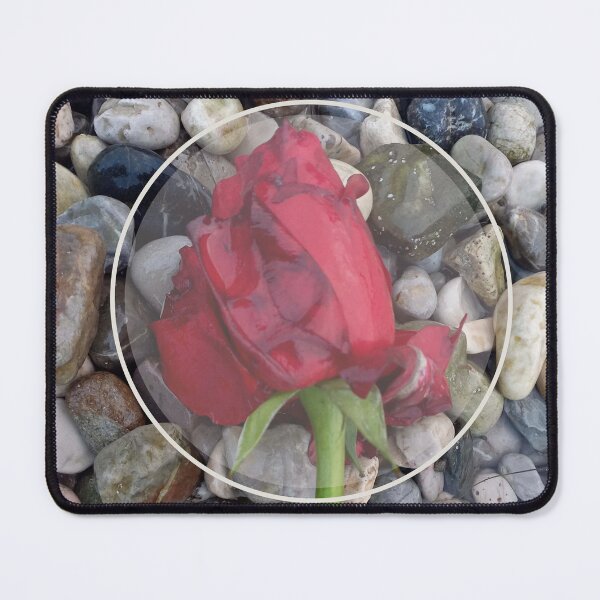 Item preview, Koper Slovenia Photography Adriatic Rose Coastal Art Print designed and sold by AndaBast.