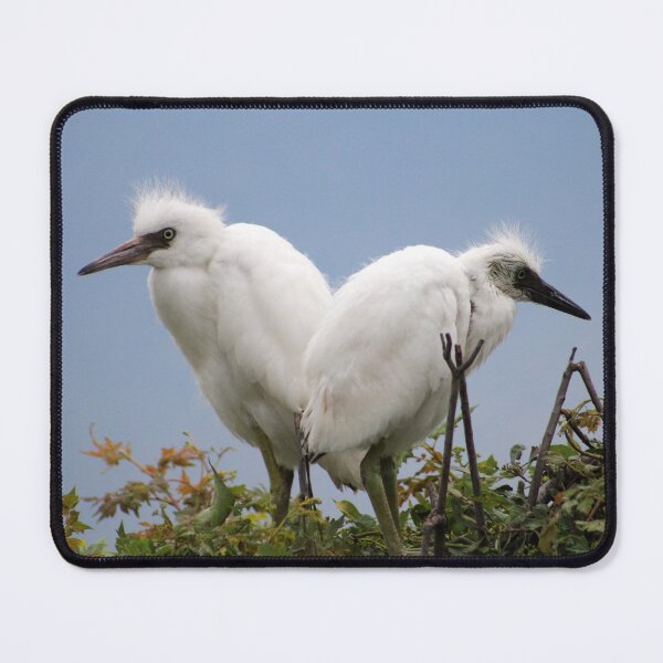 Item preview, Two White Herons in a Bush designed and sold by Cynthia48.