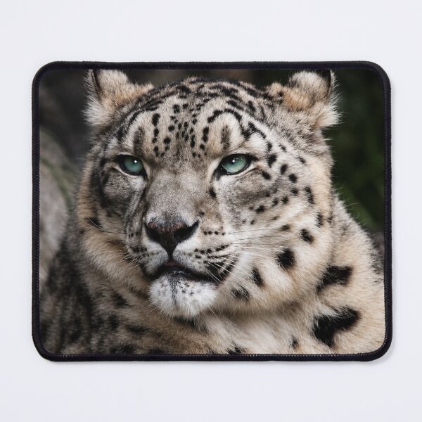Item preview, Snow Leopard designed and sold by Kimberly Palmer.