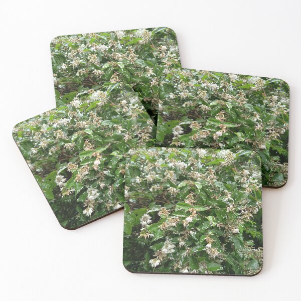 Item preview, Variegated Garden Foliage designed and sold by PhuongVoArt.