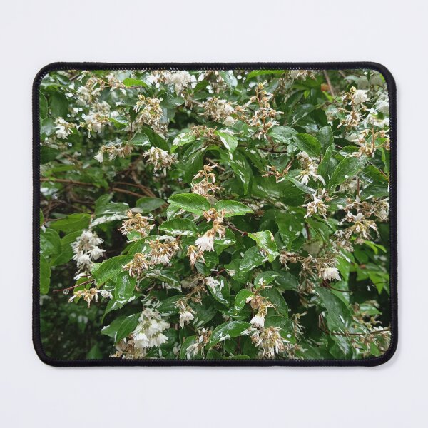 Item preview, Variegated Garden Foliage designed and sold by PhuongVoArt.