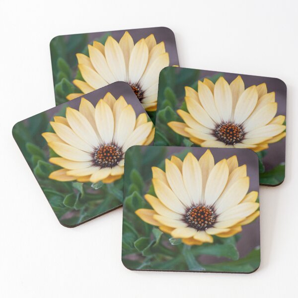 Item preview, Close-Up Yellow Daisy Flower With Dark Center Against Green Leaves Macro Garden Bloom designed and sold by Nmallia.