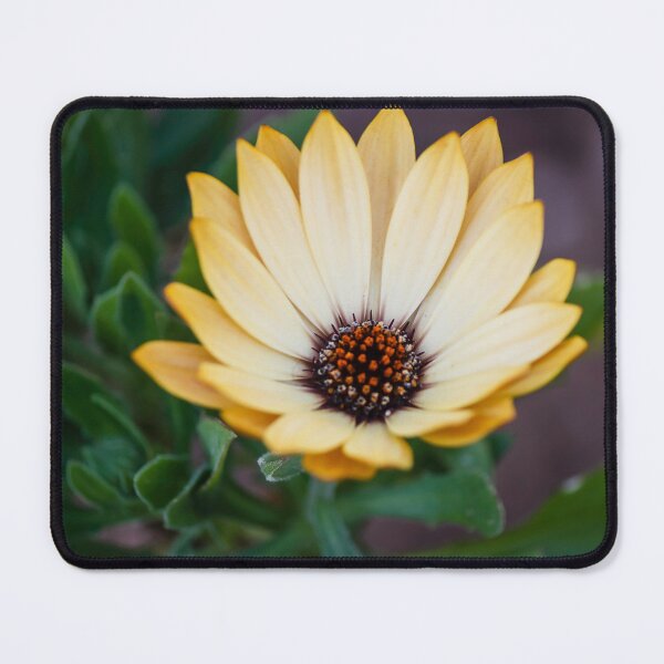 Item preview, Close-Up Yellow Daisy Flower With Dark Center Against Green Leaves Macro Garden Bloom designed and sold by Nmallia.