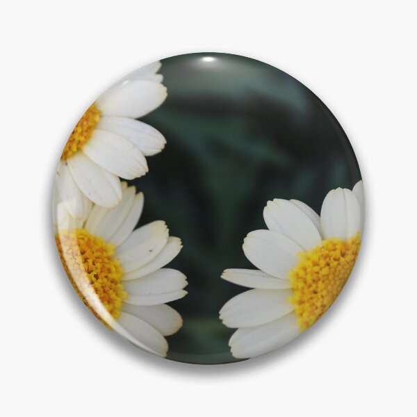 Item preview, Three White Daisies With Bright Yellow Centers Close-Up On Dark Green Foliage Background designed and sold by Nmallia.