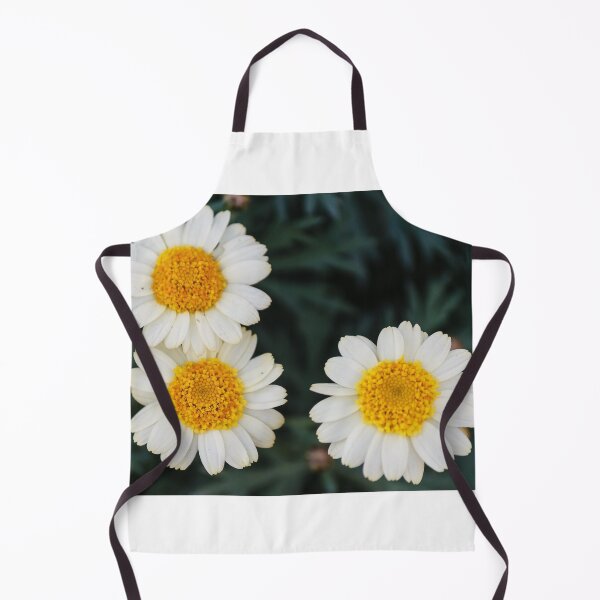 Item preview, Three White Daisies With Bright Yellow Centers Close-Up On Dark Green Foliage Background designed and sold by Nmallia.