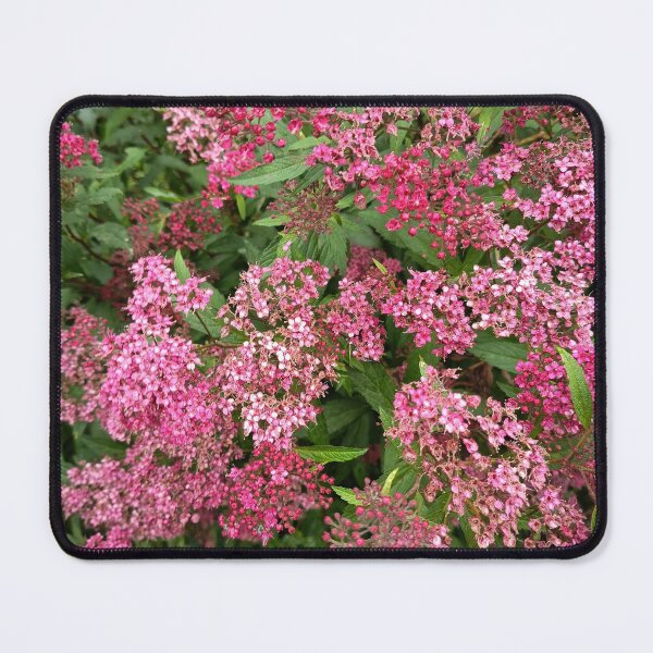 Item preview, Pink Spirea Garden Blossoms designed and sold by PhuongVoArt.