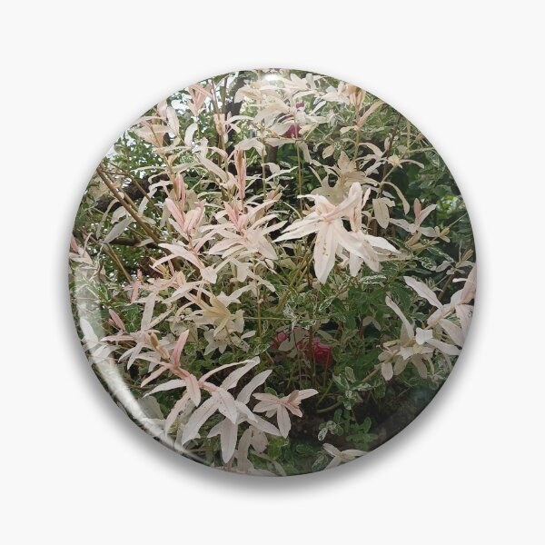 Item preview, Variegated Willow Garden Foliage designed and sold by PhuongVoArt.